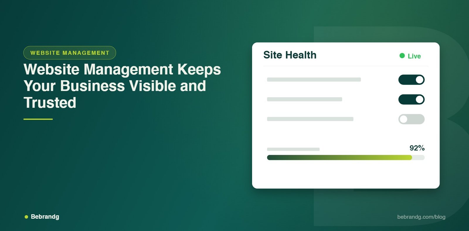 Bebrandg article about website management