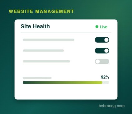Website Management Keeps Your Business Visible and Trusted