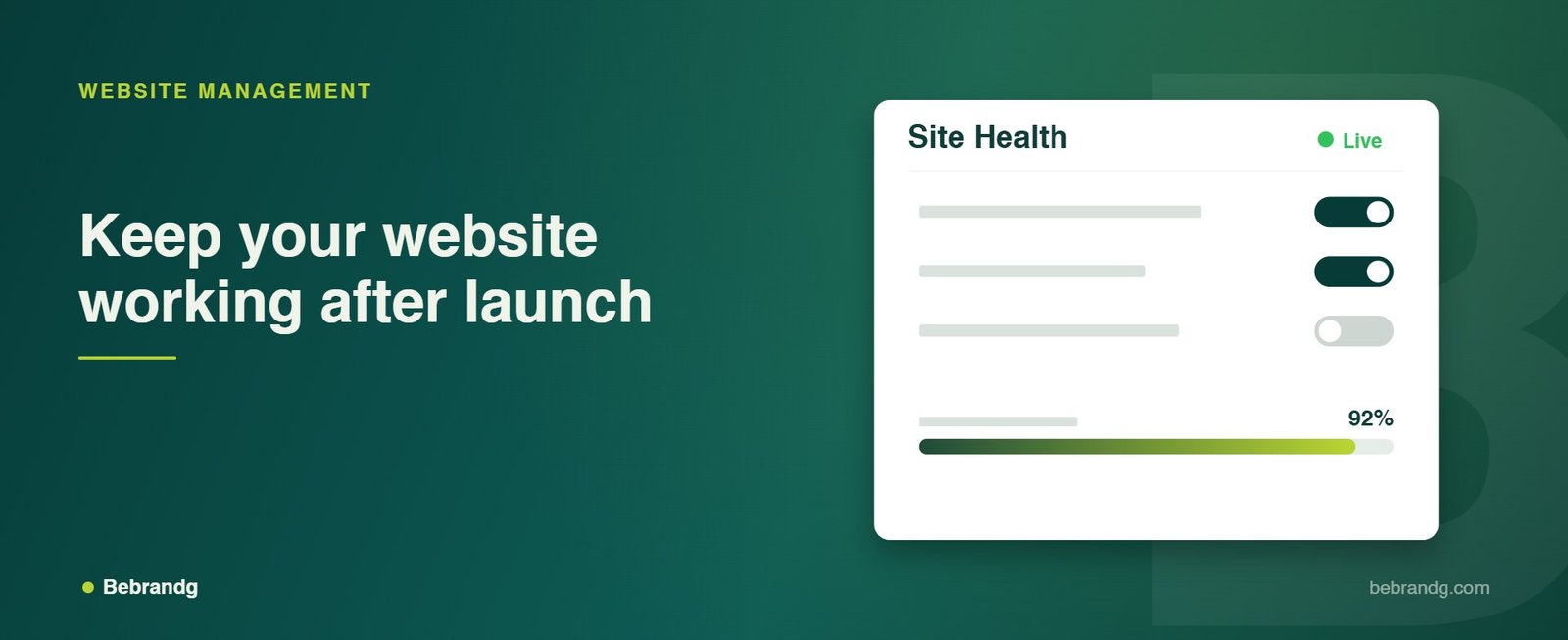 Bebrandg Website Management service visual
